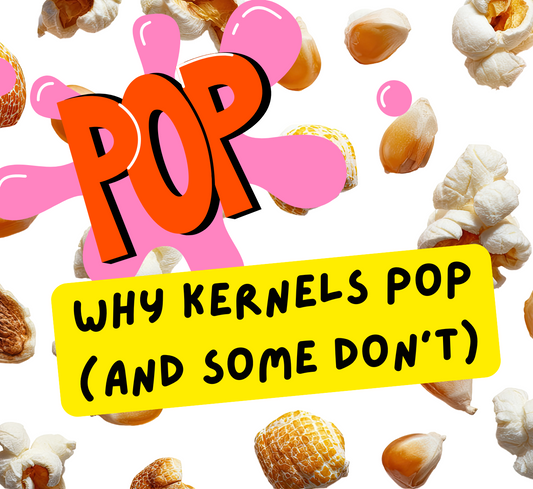 popcorn kernels popped and unpopped on a white background with a pink and red graphic retro pop sign, and an overlay text of why kernels pop (and some don't) on yellow highlight