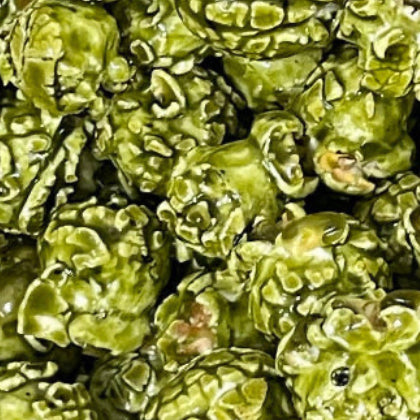 PopCornaa Dairy Free 100% Clean Coconut Green Matcha Popcorn 